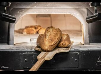 Pain Campagne PERRUCHE